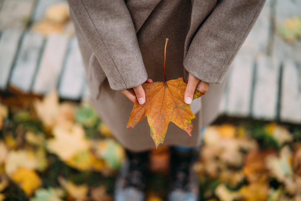 autumn-leaves-girl-s-hands.jpg autumn-leaves-girl-s-hands.jpg